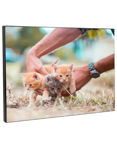 Panel Fotográfico de Madera – ¡Convierte tus fotos en una obra de arte!